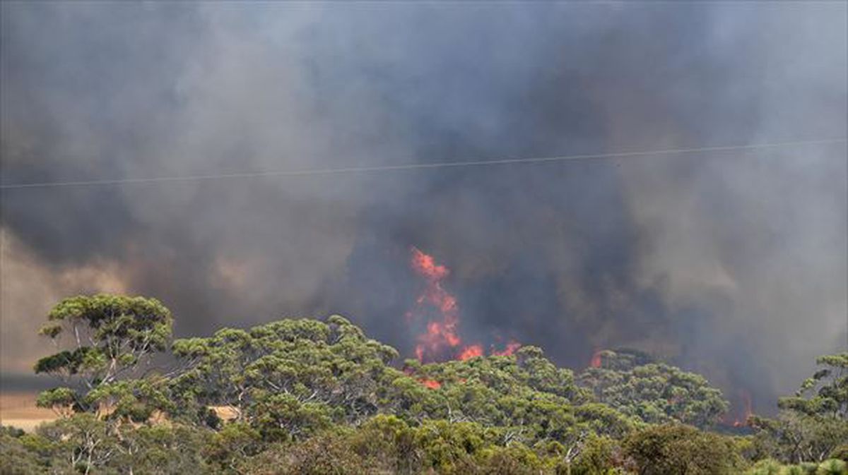En Kangaroo Island el fuego ha causado dos muertos y quemado 160.000 hectáreas. Foto: EFE.