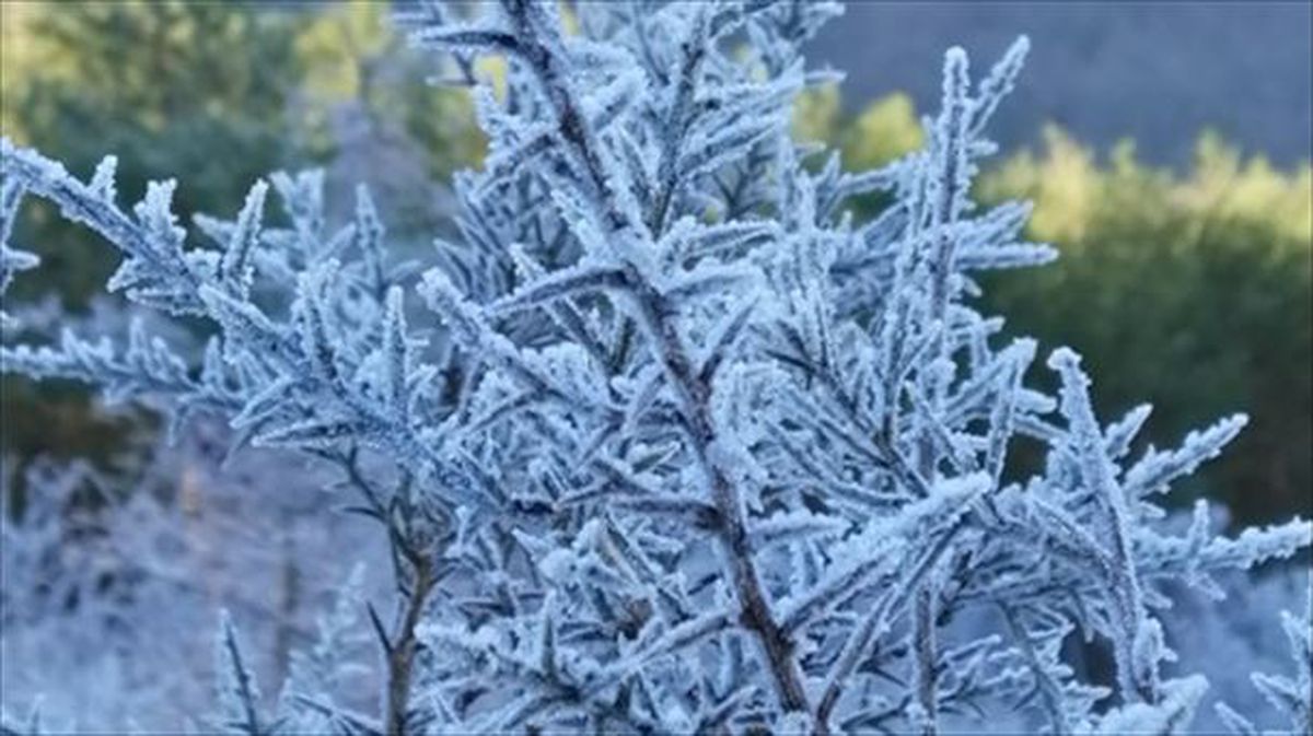 Hielo en Jokano (Zuhatzu-Kuartango). Foto: Arantza Unamunzaga