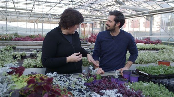 Joseba Arguñano junto a Mari Carmen González, de Endanea Garden, en Hondarribia