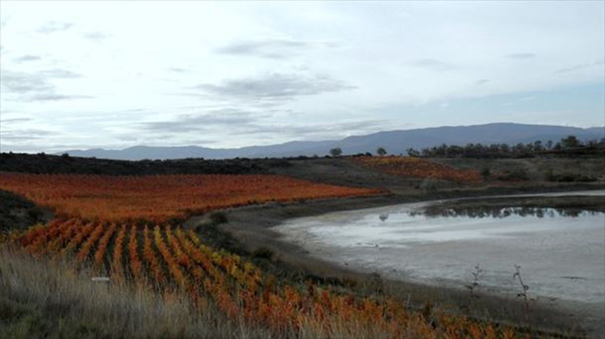 Laguardia (Rioja Alavesa). Foto de archivo: Miguel Ángel López de la Calle