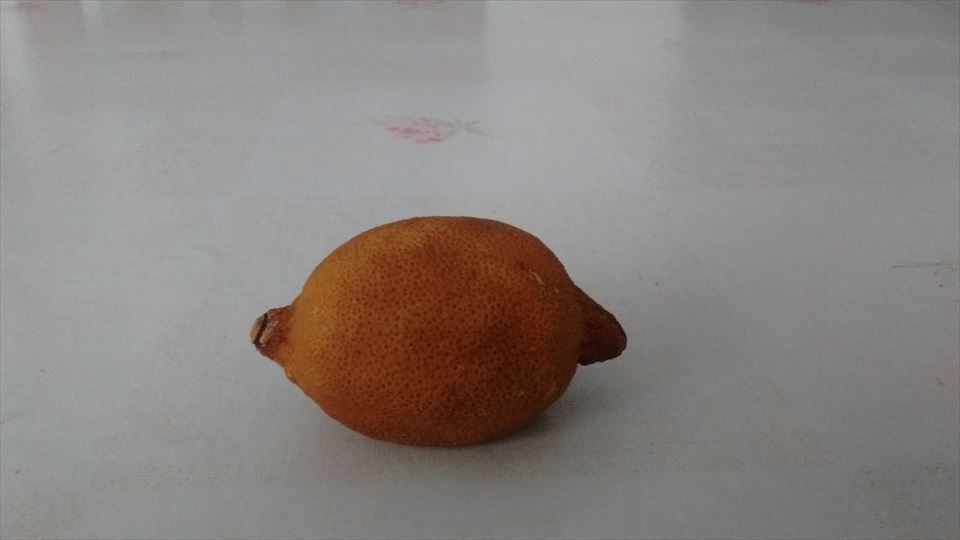 Limón deshidratado. Pili