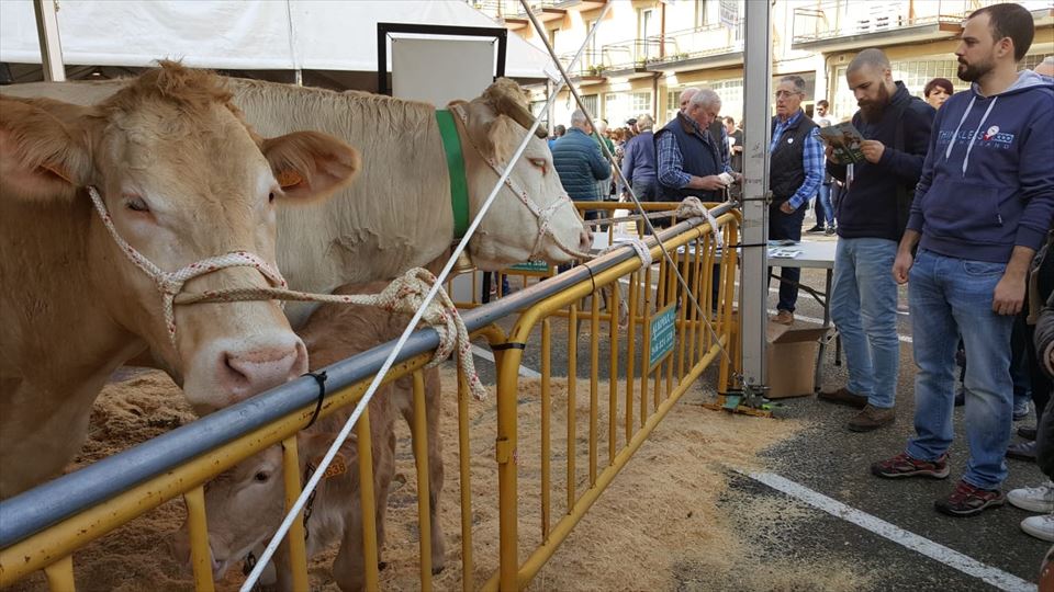 Boulevard Magazine en la feria de San Blas de Abadiño