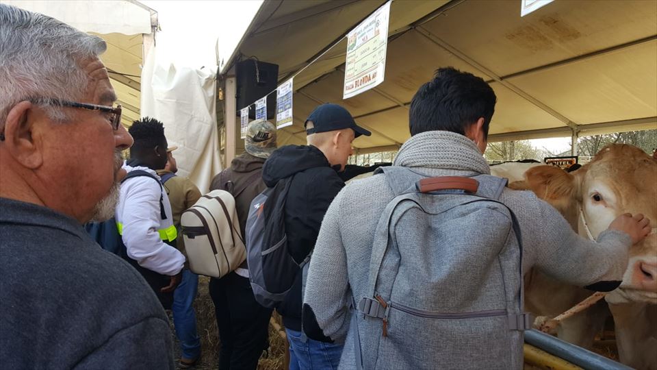 Boulevard Magazine en la feria de San Blas de Abadiño