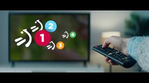 Zeurea agintea, zeurea erabakia