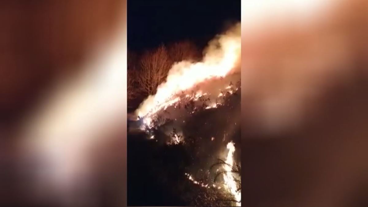 El incendio ya ha sido sofocado