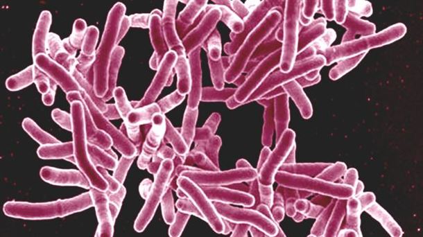 Nuevos antibióticos para la tuberculosis y riesgos de deslizamientos
