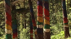 El Bosque de Oma tendrá una réplica