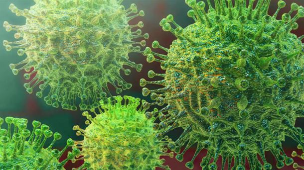 Covid 19: transmisión y tratamientos y relación de E.coli con el cáncer