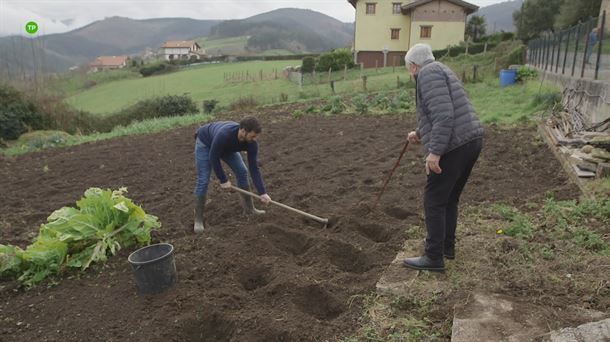 Joseba Argiñano trabaja en una huerta de Barajuen para 