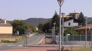 Los aprovechamientos forestales en la Zona Rural de Gasteiz están a la baja