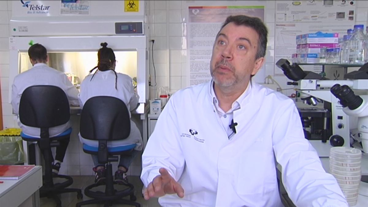 Guillermo Guindós, catedrático de Microbiología