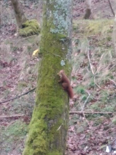 Kattagorria Donostian