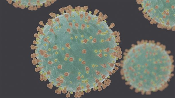 Ensayo del coronavirus
