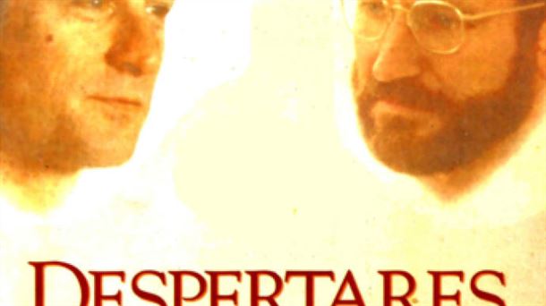 Cartel de la película "Despertares"