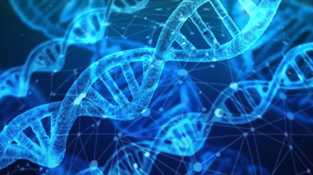 El ADN como cable eléctrico 
