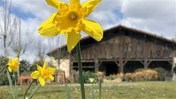 Caserío Museo Igartubeiti en Ezkio en el mes de abril