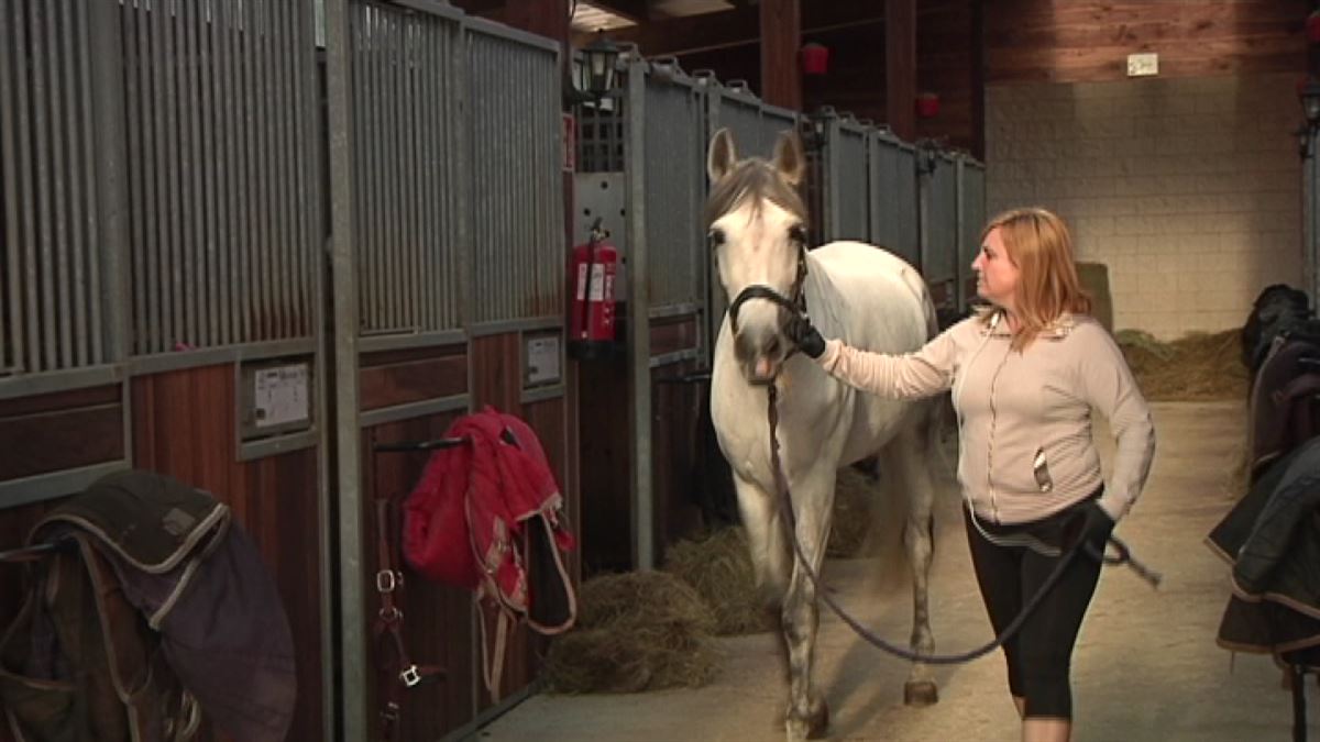 Caballos en confinamiento / EiTB