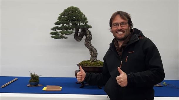 DAVID. QUINTANA. PINO SILVESTRE.