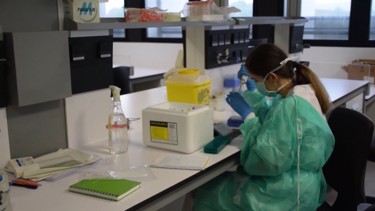 Una técnica de laboratorio, realizando un test PCR