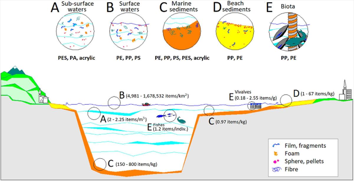 esquema de las muestras de microplástico en el Golfo de Bizkaia