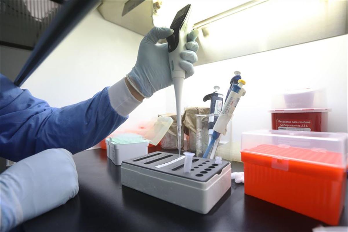 Personal de laboratorio realiza un test PCR.