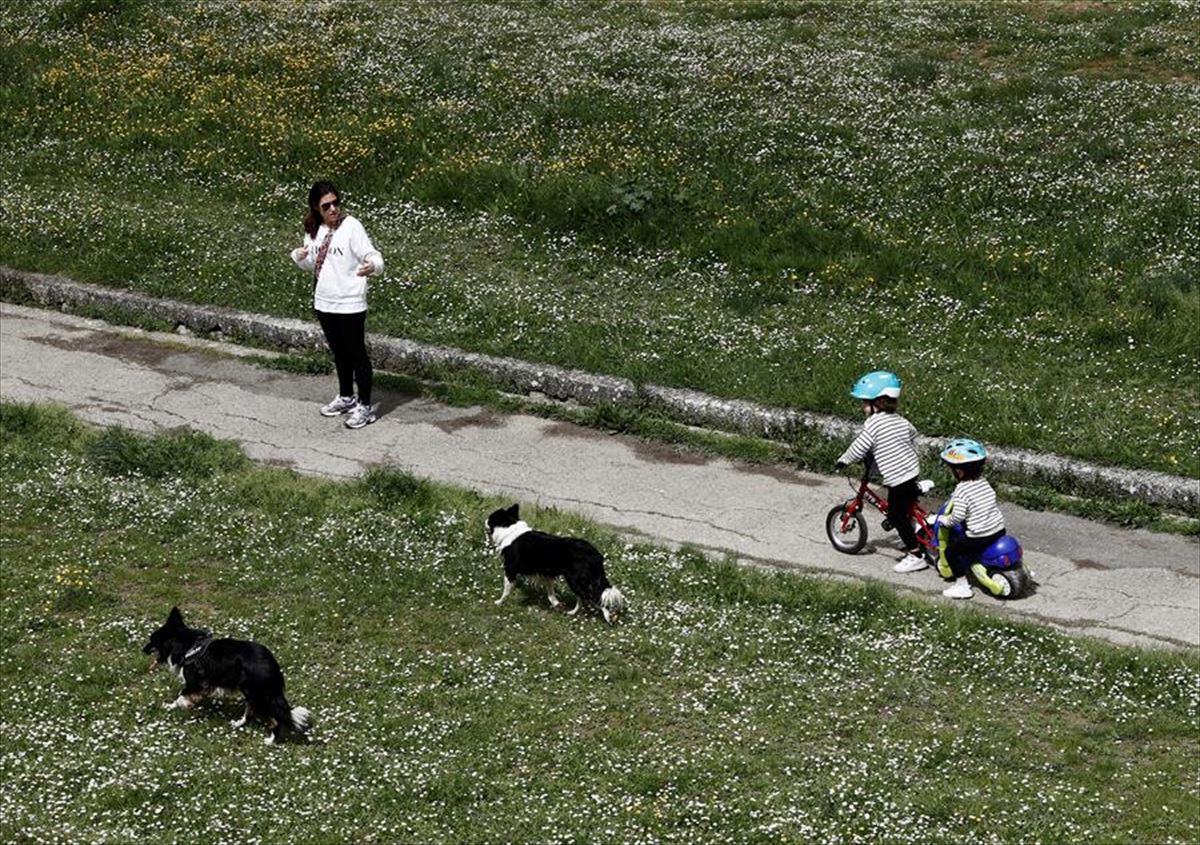 Una mujer pasea con sus hijos y sus perros por Pamplona