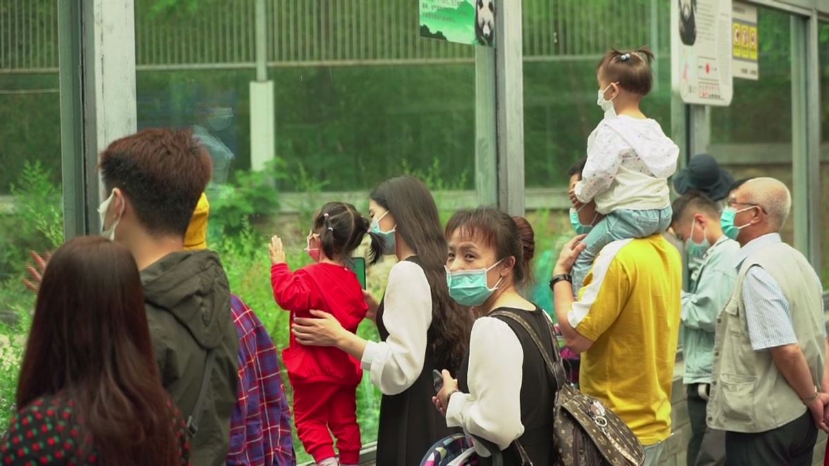 Familias chinas, en el zoo.