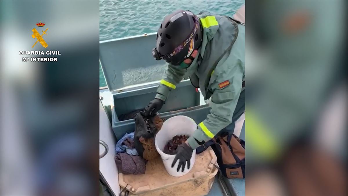 En el barco se encontraron nécoras y percebes