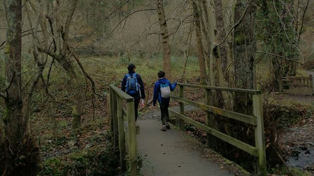 Un paseo por la naturaleza es la base para un buen aprendizaje