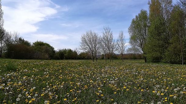 Ponemos la mirada en los parques del oeste de Vitoria-Gasteiz