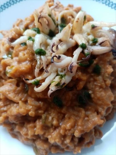 Risoto de mar y tierra