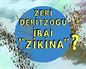 Zeri deritzogu ibai zikina?
