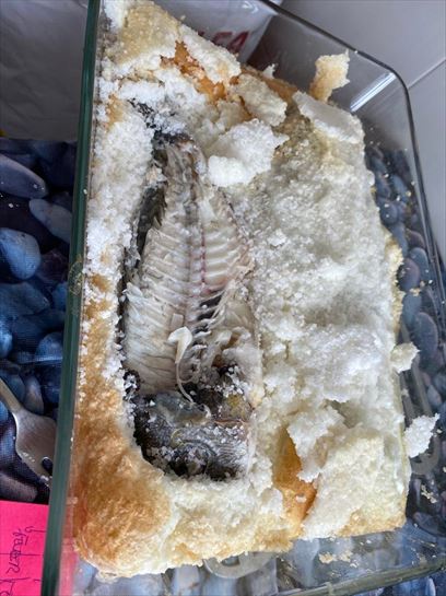 Dorada a la sal