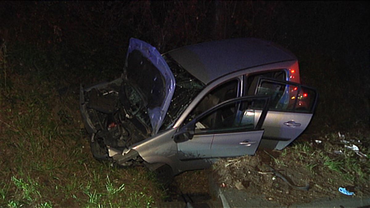 El vehículo accidentado en Arrankudiaga (Bizkaia). Foto: Bomberos de Bizkaia