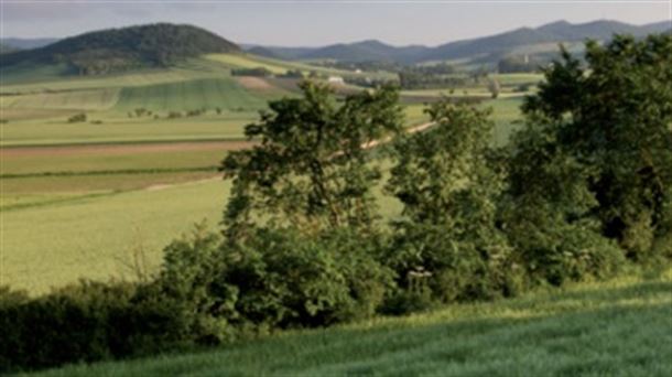 El cerro de las Neveras, una de las entradas principales a Vitoria-Gasteiz