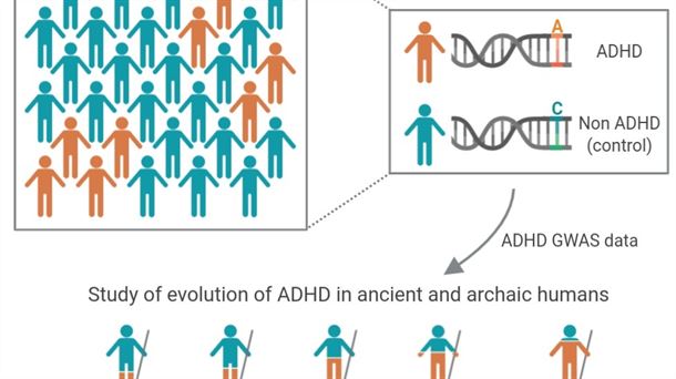 Las variantes genómicas asociadas al TDAH disminuyen desde la prehistoria