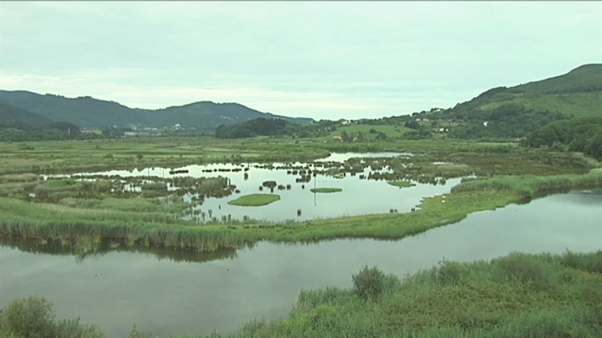 Urdaibai Bird Center. Imagen obtenida de un vídeo de EiTB.