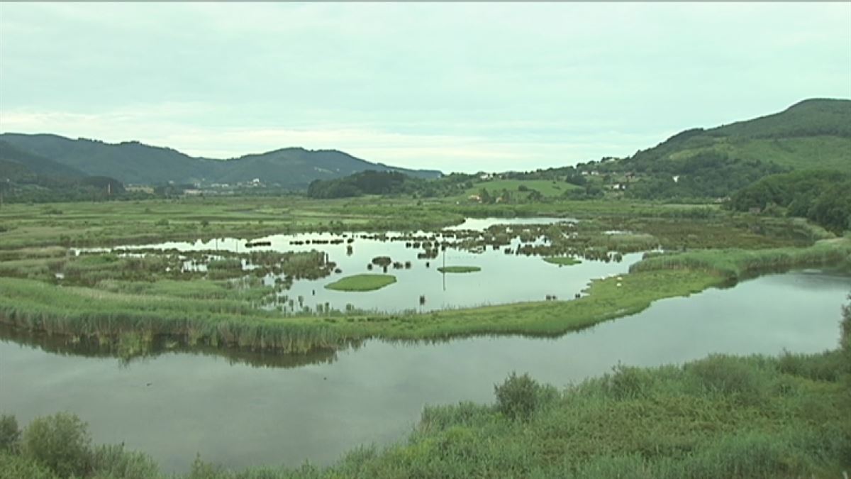 Urdaibai Bird Center. EiTBko bideo batetik ateratako irudia.