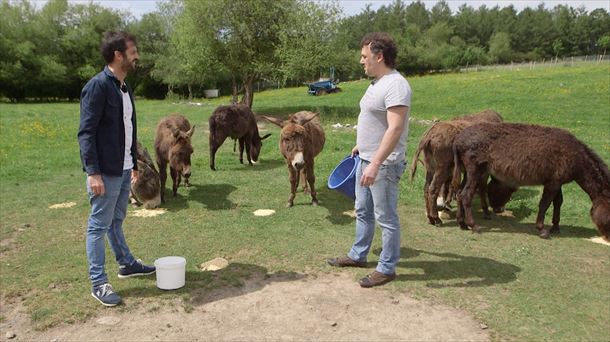 Joseba Arguiñano Durangaldean, bertako bizilagun batekin eta horren astoekin