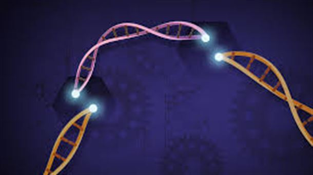 CRISPR - Ernesto del Aguila, National Human Genome Research Institute