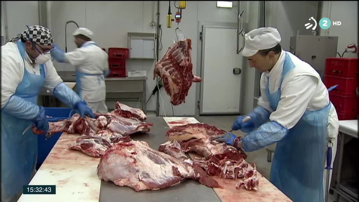 Matadero en Euskadi. Imagen obtenida de un vídeo de ETB.