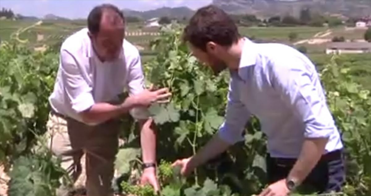PP+Cs critica la ''dejadez'' del PNV hacia el sector del vino
