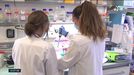 CIC bioGUNE abre vías para tratar un cáncer altamente agresivo del sistema nervioso