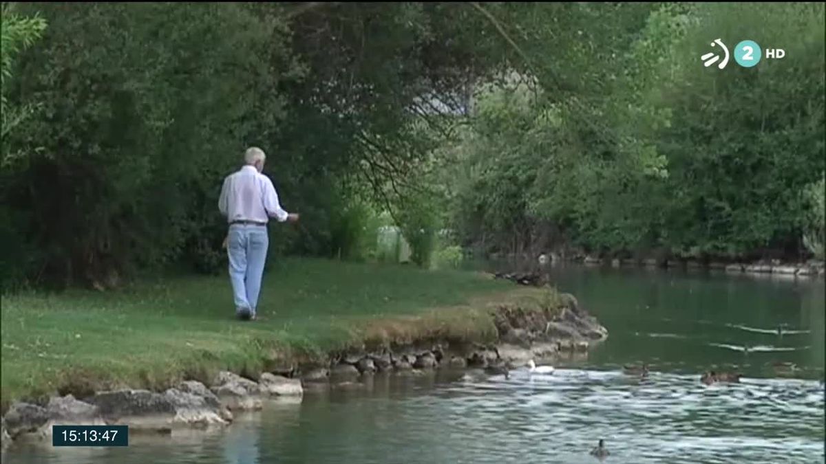 Una persona dando de comer a los patos. Imagen: EiTB.