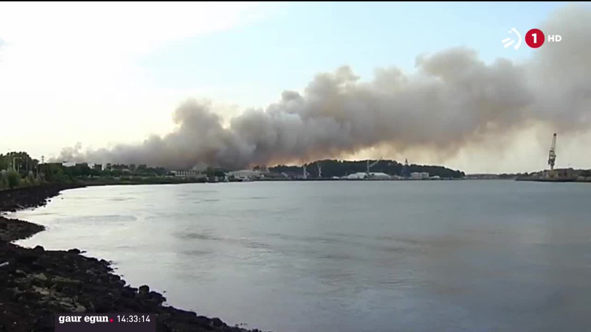 Incendio en el pinar de Xiberta en Angelu (Lapurdi). Imagen obtenida de un vídeo de EiTB.