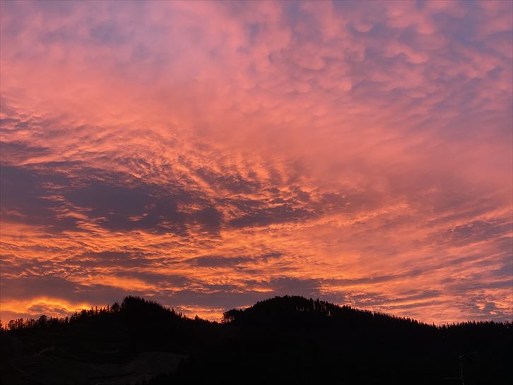 Markina-Xemein (Rakel Alberdi)