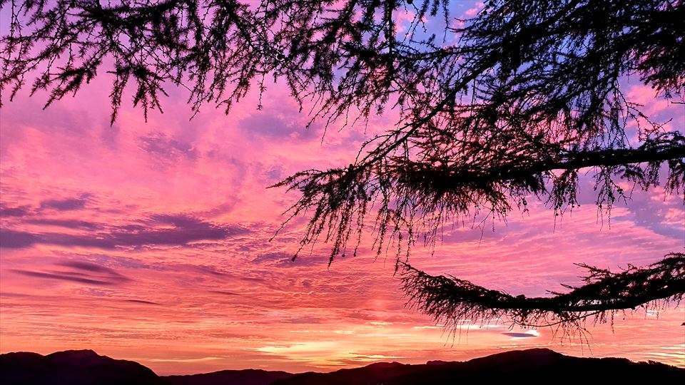 Bergara (Iñaki Zenitagoia)