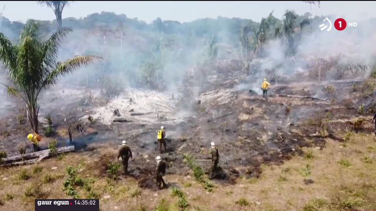 Los incendios en Brasil no tienen fin. Imagen obtenida de un vídeo de Agencias.