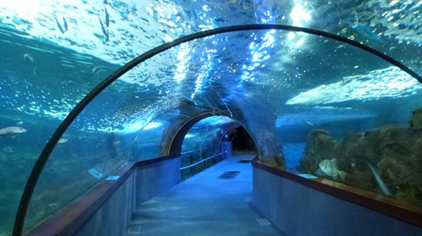 Lapuebla de Labarca, el Aquarium de Donosti, Lekunberri y la Casa Museo Antzasti     