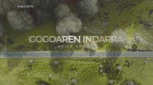 Esta noche, el documental de Aritz Aduriz